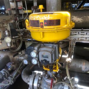 WhatsApp Image 2025-05-23 at 09.49.19 (4)