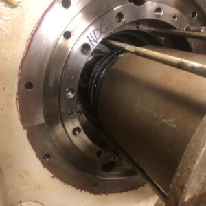 WhatsApp Image 2025-05-23 at 09.52.37 (6)