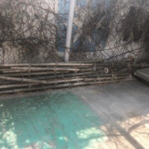 WhatsApp Image 2025-05-23 at 10.16.16 (1)