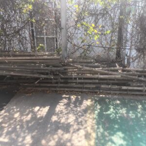 WhatsApp Image 2025-05-23 at 10.16.17 (1)